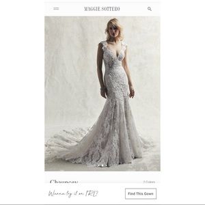 Maggie Sottero - Sottero and Midgley wedding dress style “Chauncey” size 8